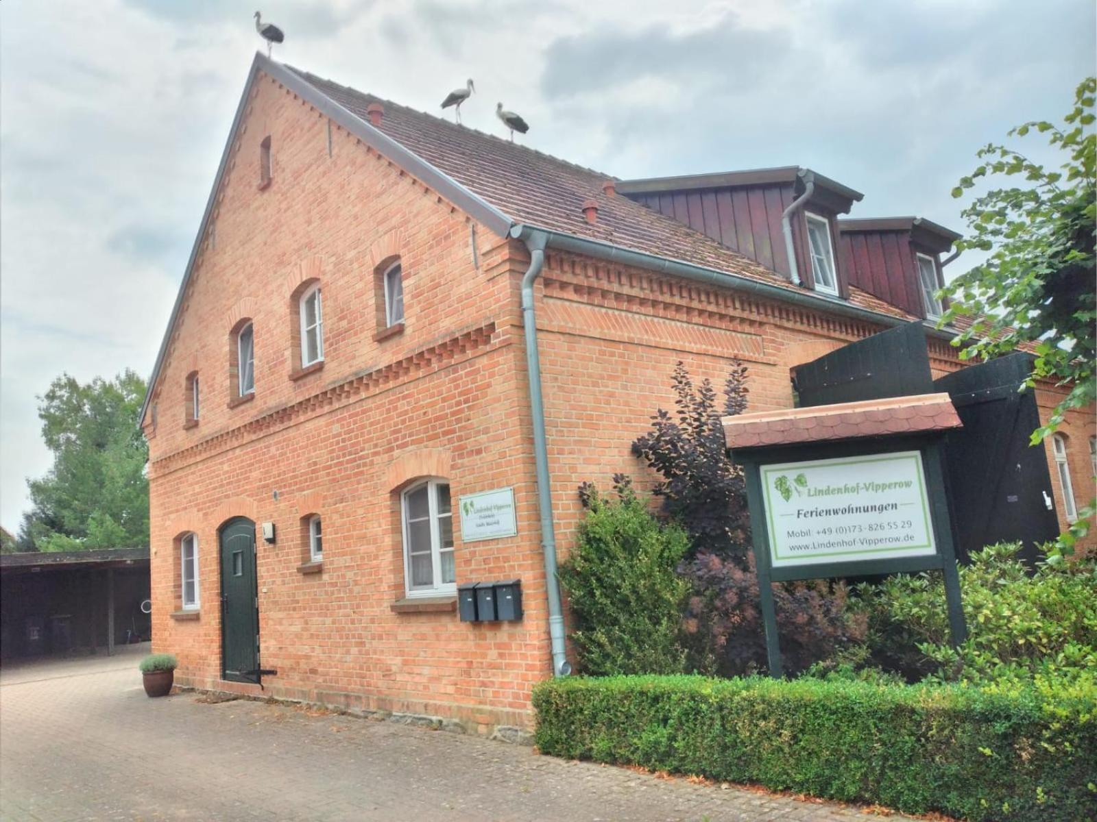 Lindenhof, Wohnung 1, Giebel Vipperow Exteriér fotografie